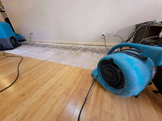 Professional Ceiling Water Damage Repair technician working in Hibbing, MN